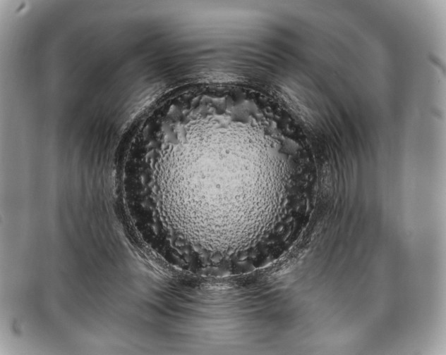 X0000098030351200804071421