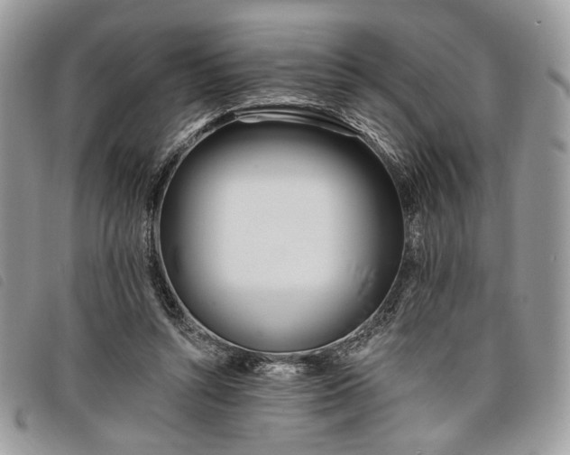 X0000098030352200804071421