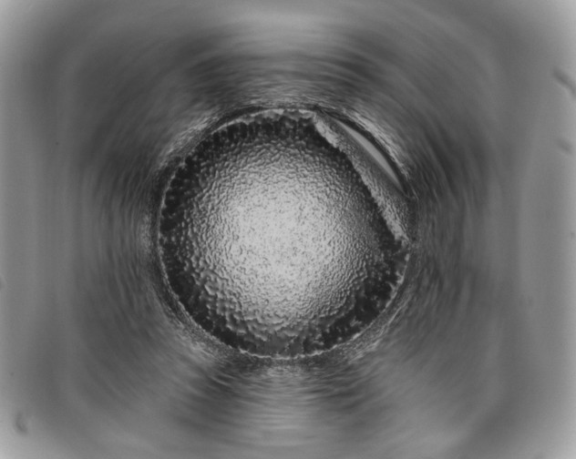 X0000098030353200804071421