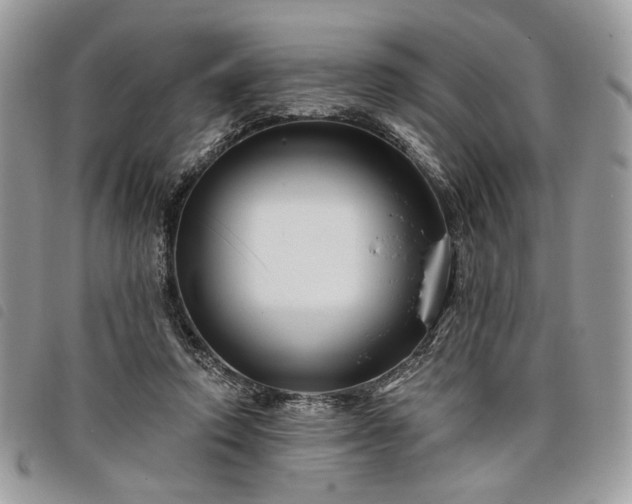 X0000098030354200804071421