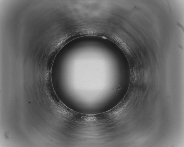 X0000098030355200804071421