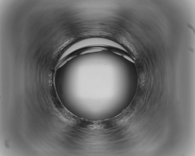 X0000098030356200804071421