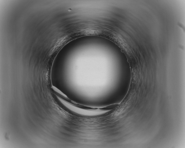 X0000098030357200804071421