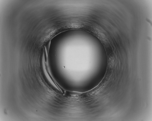 X0000098030358200804071421