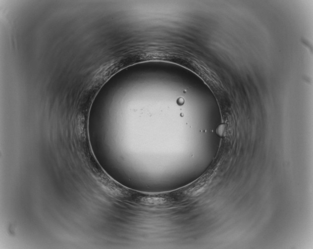 X0000098030361200804071421