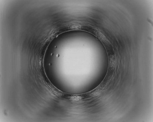 X0000098030363200804071422