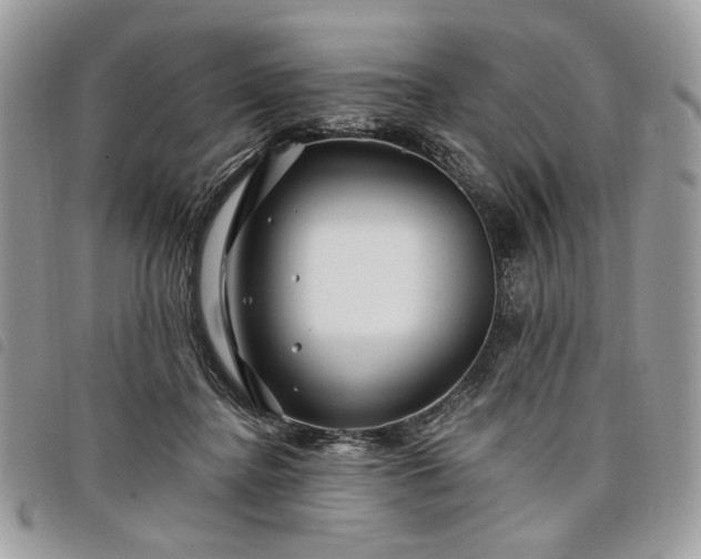 X0000098030364200804071422