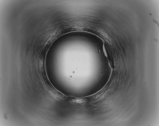 X0000098030365200804071422