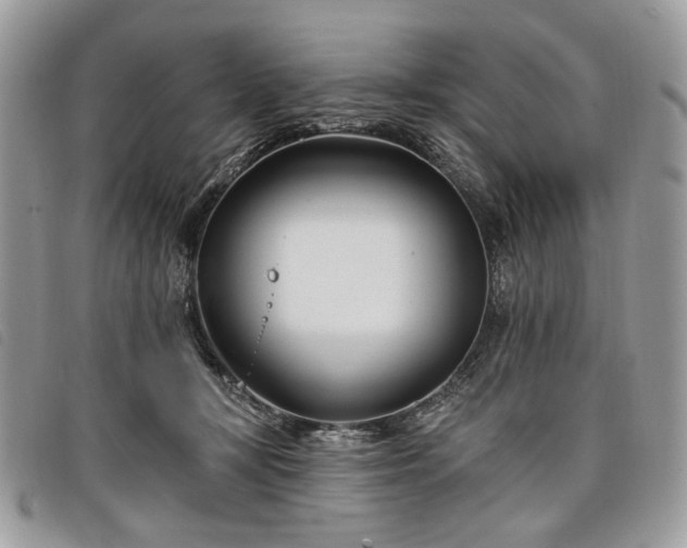 X0000098030367200804071422