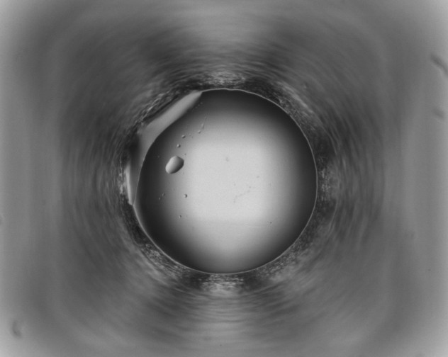 X0000098030368200804071422