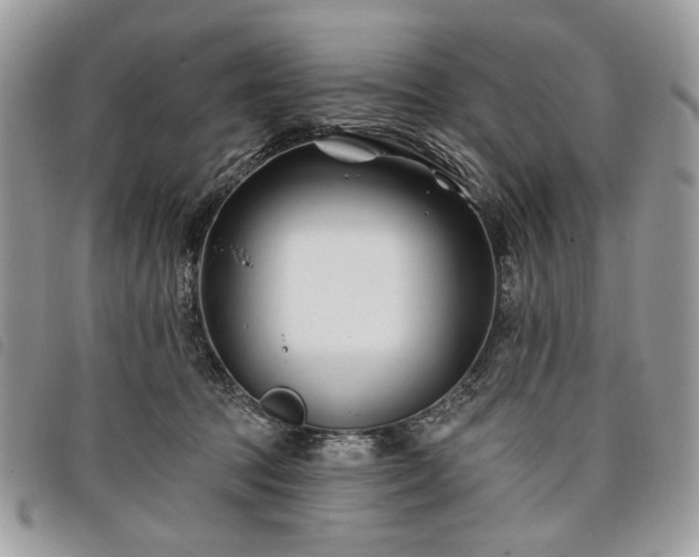 X0000098030369200804071422