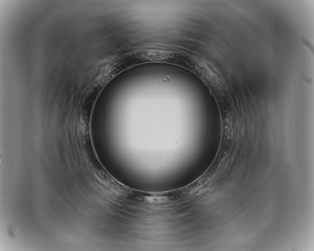 X0000098030371200804071422