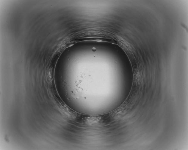 X0000098030373200804071422