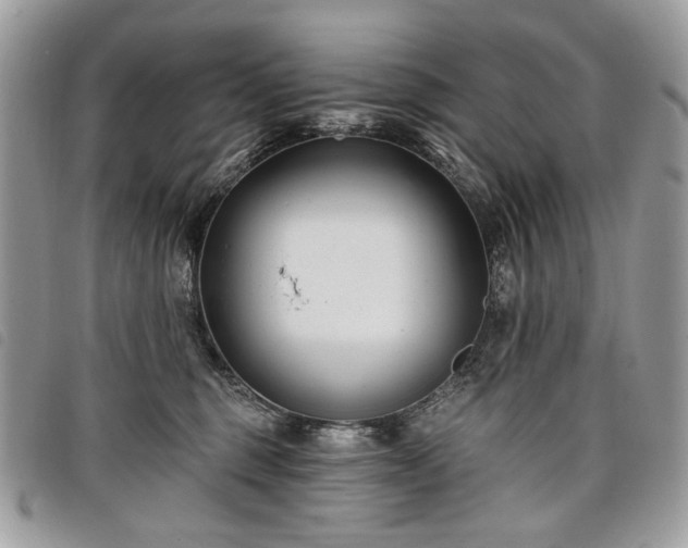 X0000098030375200804071422