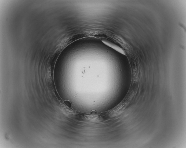 X0000098030377200804071422