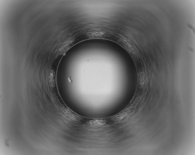 X0000098030378200804071422