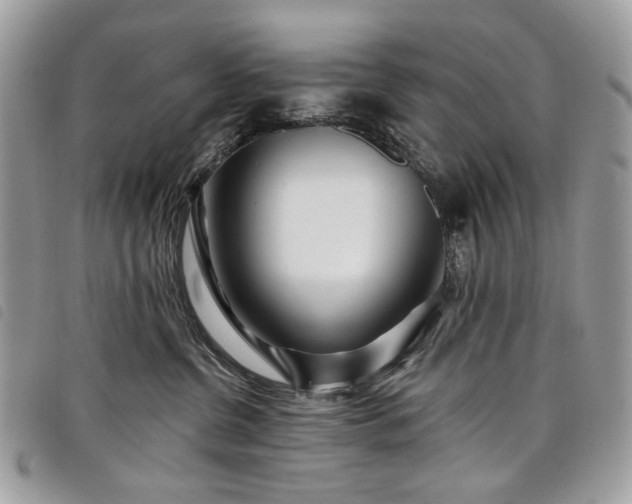 X0000098030380200804071422