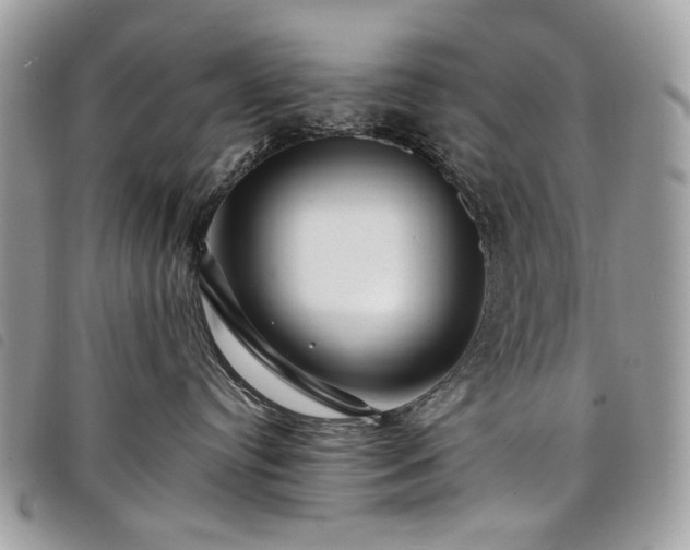 X0000098030384200804071422