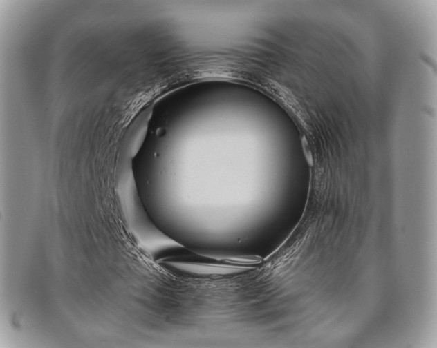 X0000098030385200804071421