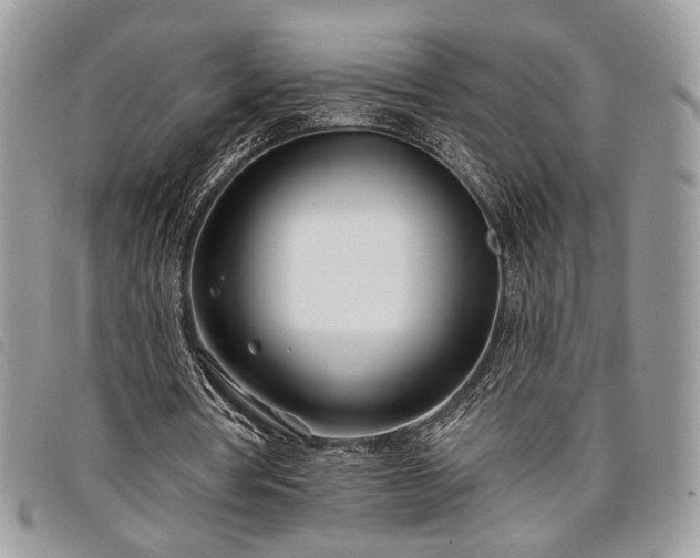 X0000098030386200804071421