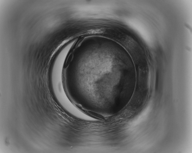 X0000098030387200804071421