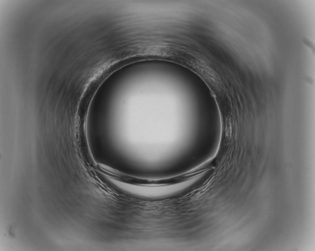 X0000098030388200804071421