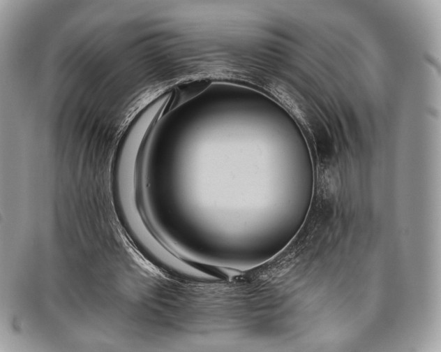 X0000098030389200804071421