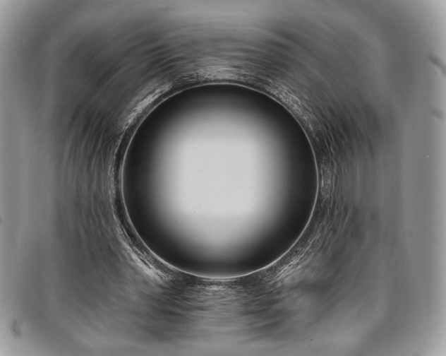 X0000098030390200804071421