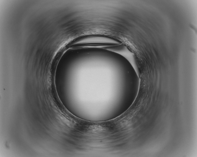 X0000098030392200804071421