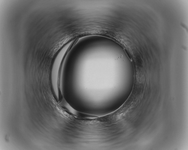 X0000098030393200804071421