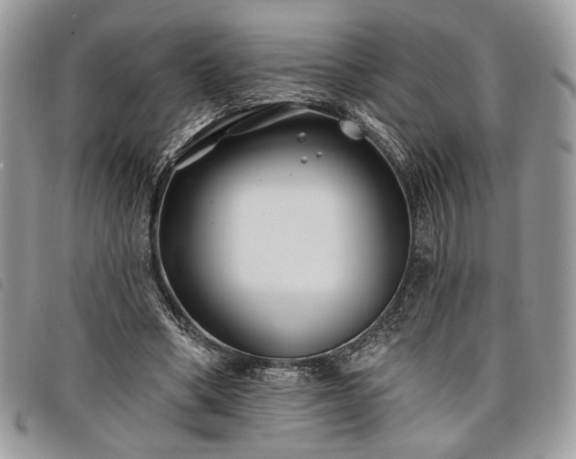 X0000098030394200804071421