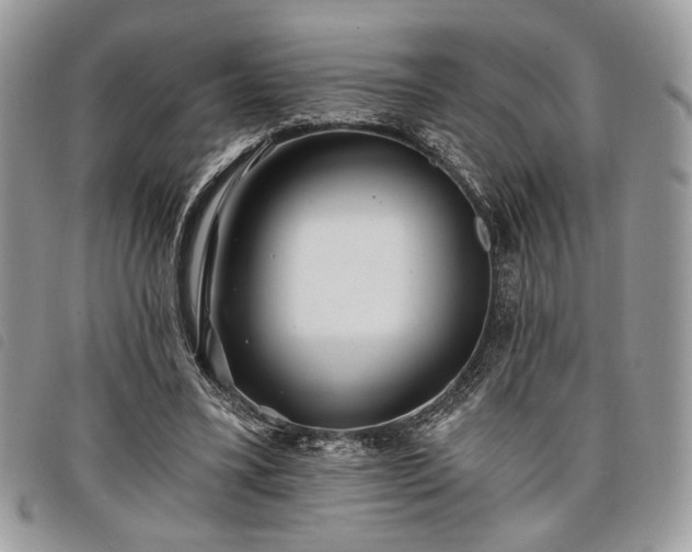 X0000098030395200804071421