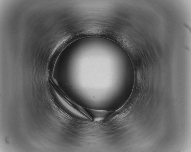 X0000098030396200804071421