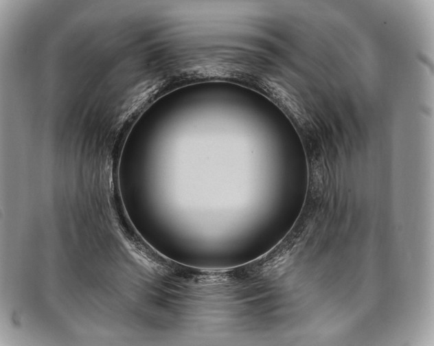 X0000098030398200804071421