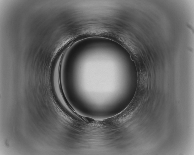 X0000098030399200804071421