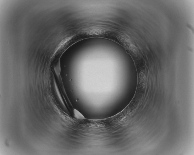 X0000098030400200804071421