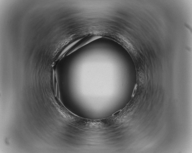 X0000098030401200804071421