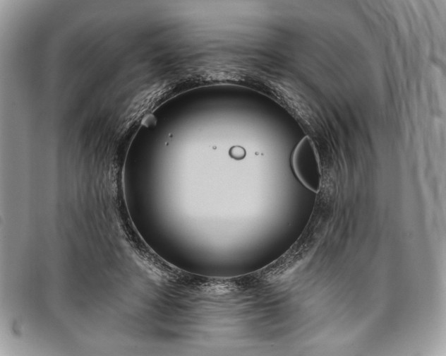 X0000098030402200804071421