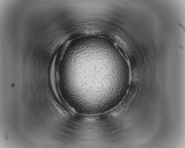 X0000098030405200804071421