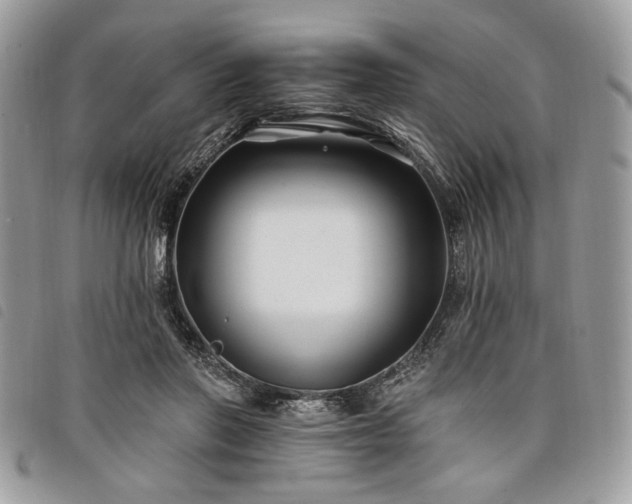 X0000098030406200804071421