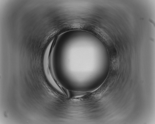 X0000098030407200804071421