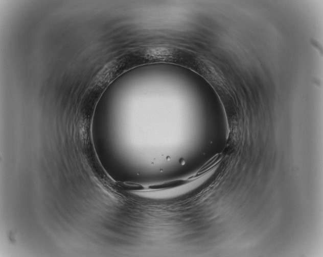 X0000098030408200804071421