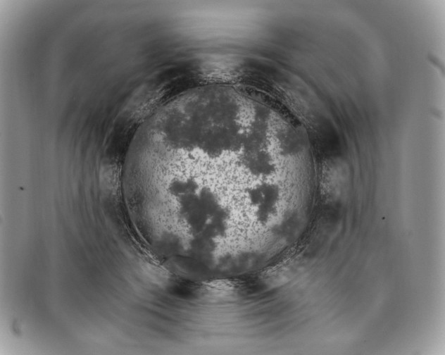 X0000098030409200804071421