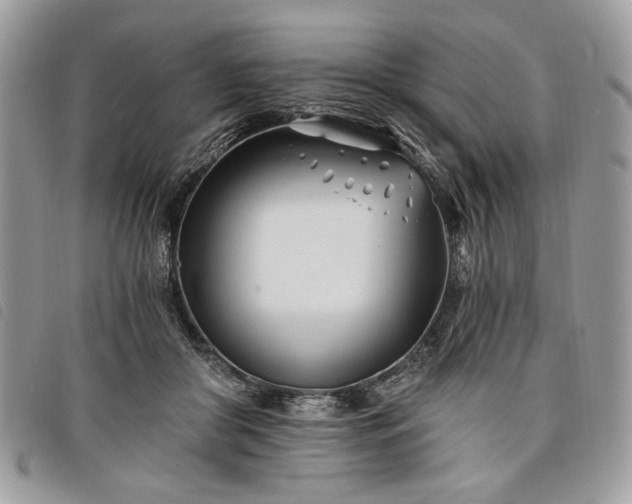 X0000098030410200804071421