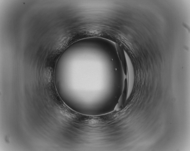 X0000098030412200804071421