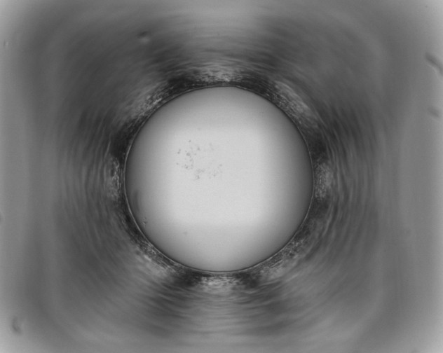 X0000098030414200804071421