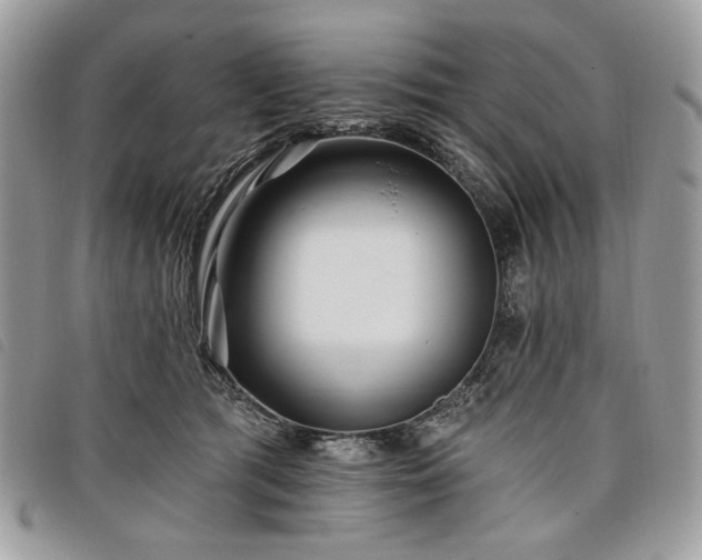 X0000098030417200804071421