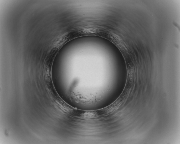 X0000098030418200804071421