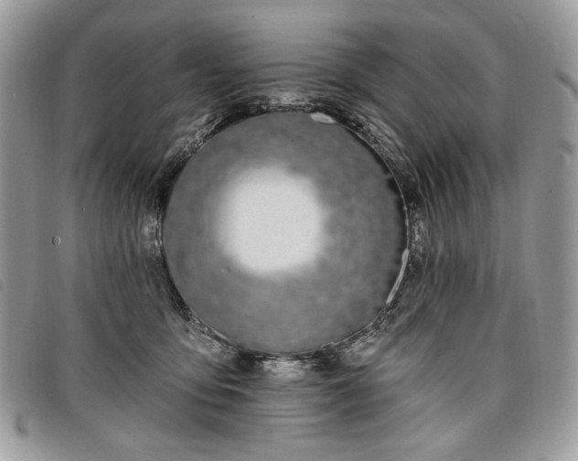 X0000098030419200804071421