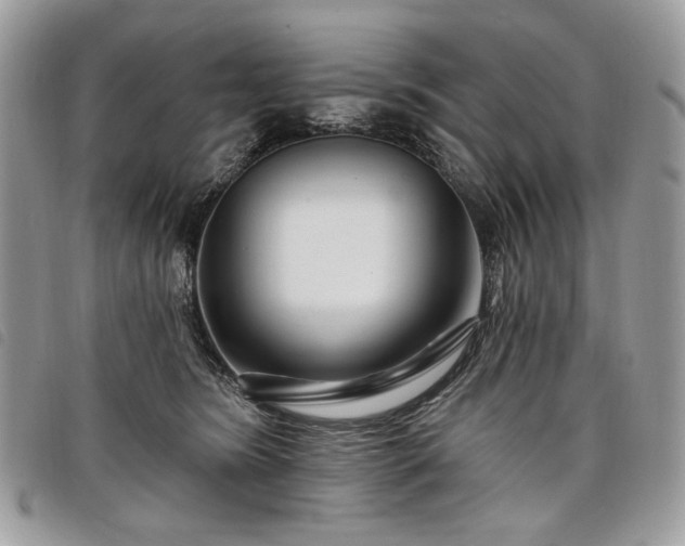 X0000098030420200804071421